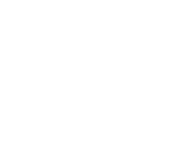 Podengo português
